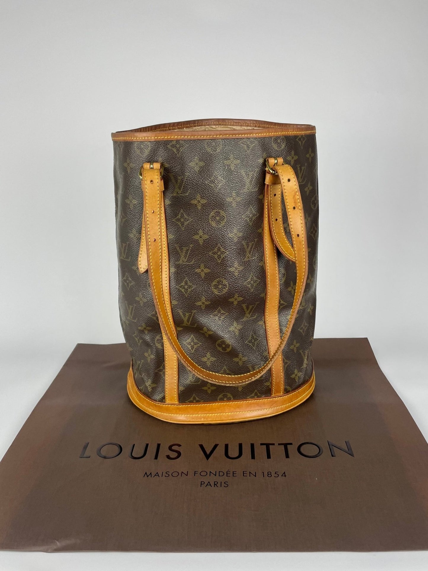 The Vintage Bag Louis Vuitton Bucket