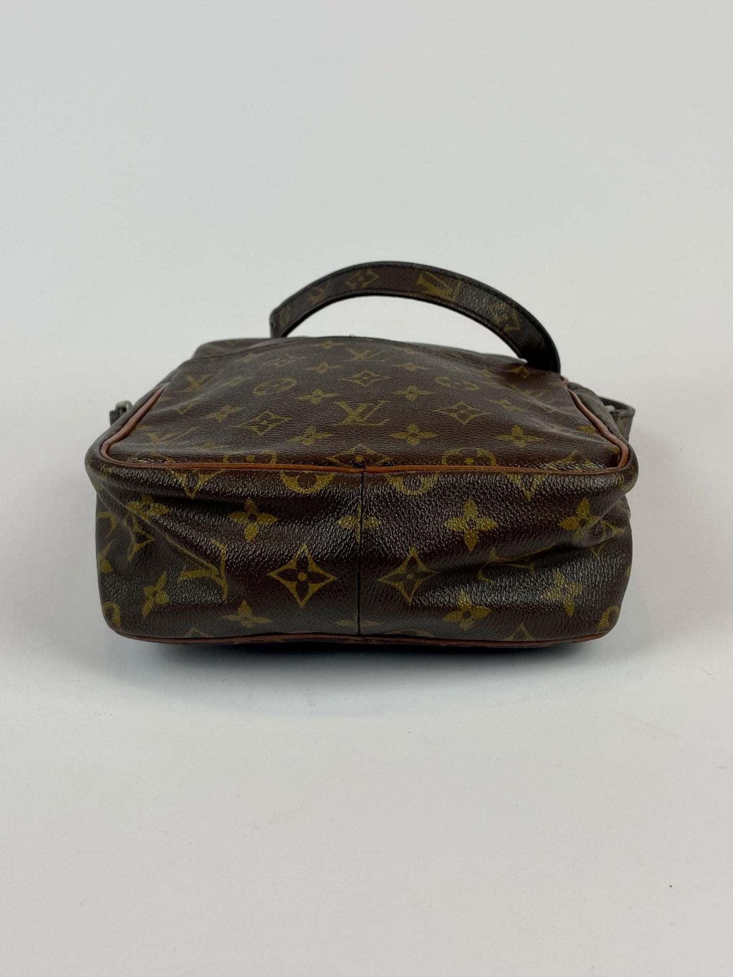 The Vintage Bag Louis Vuitton Danube