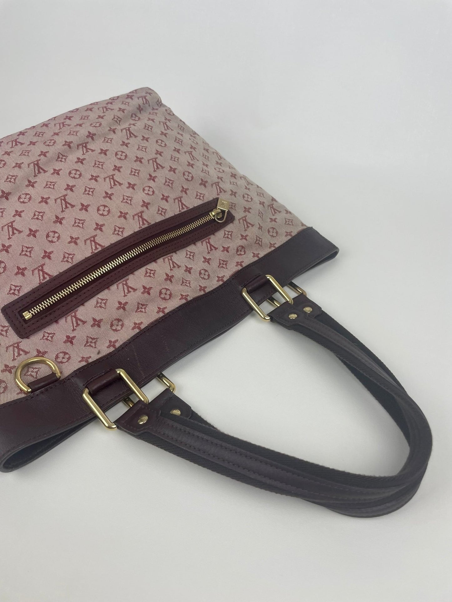 The Vintage Bag Louis Vuitton Lucille