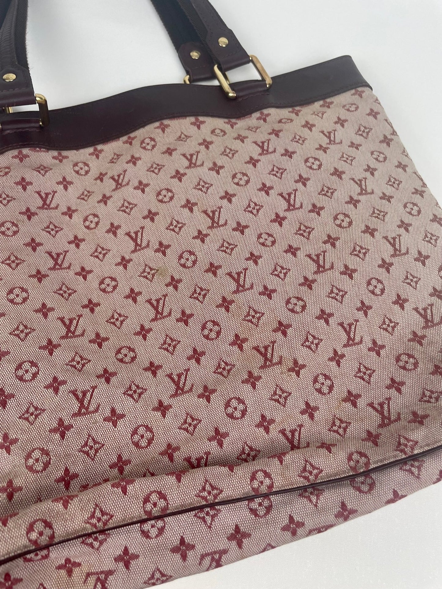 The Vintage Bag Louis Vuitton Lucille
