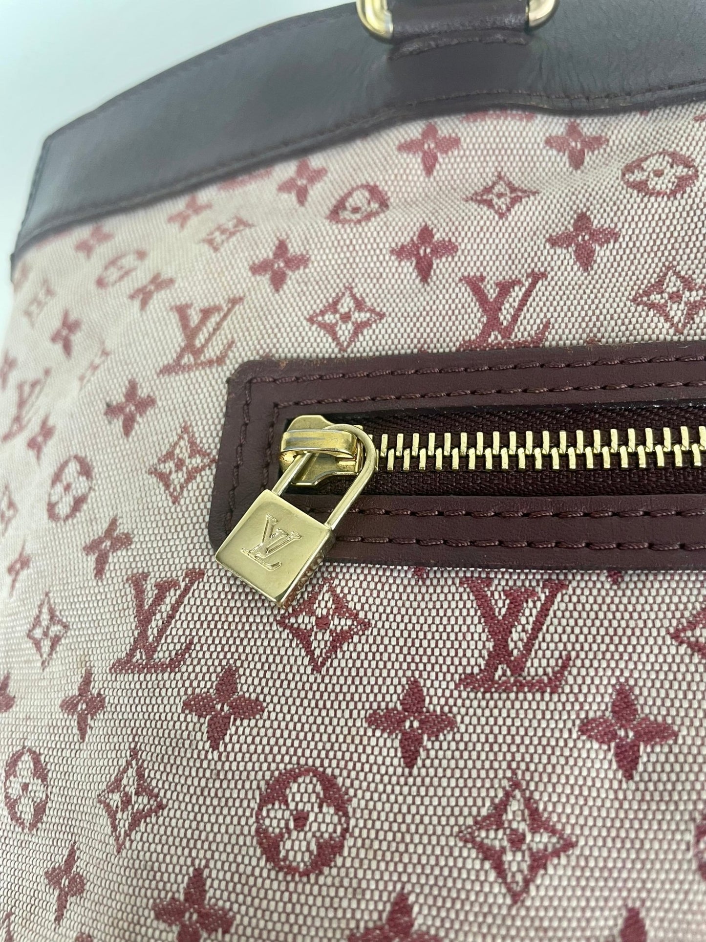 The Vintage Bag Louis Vuitton Lucille