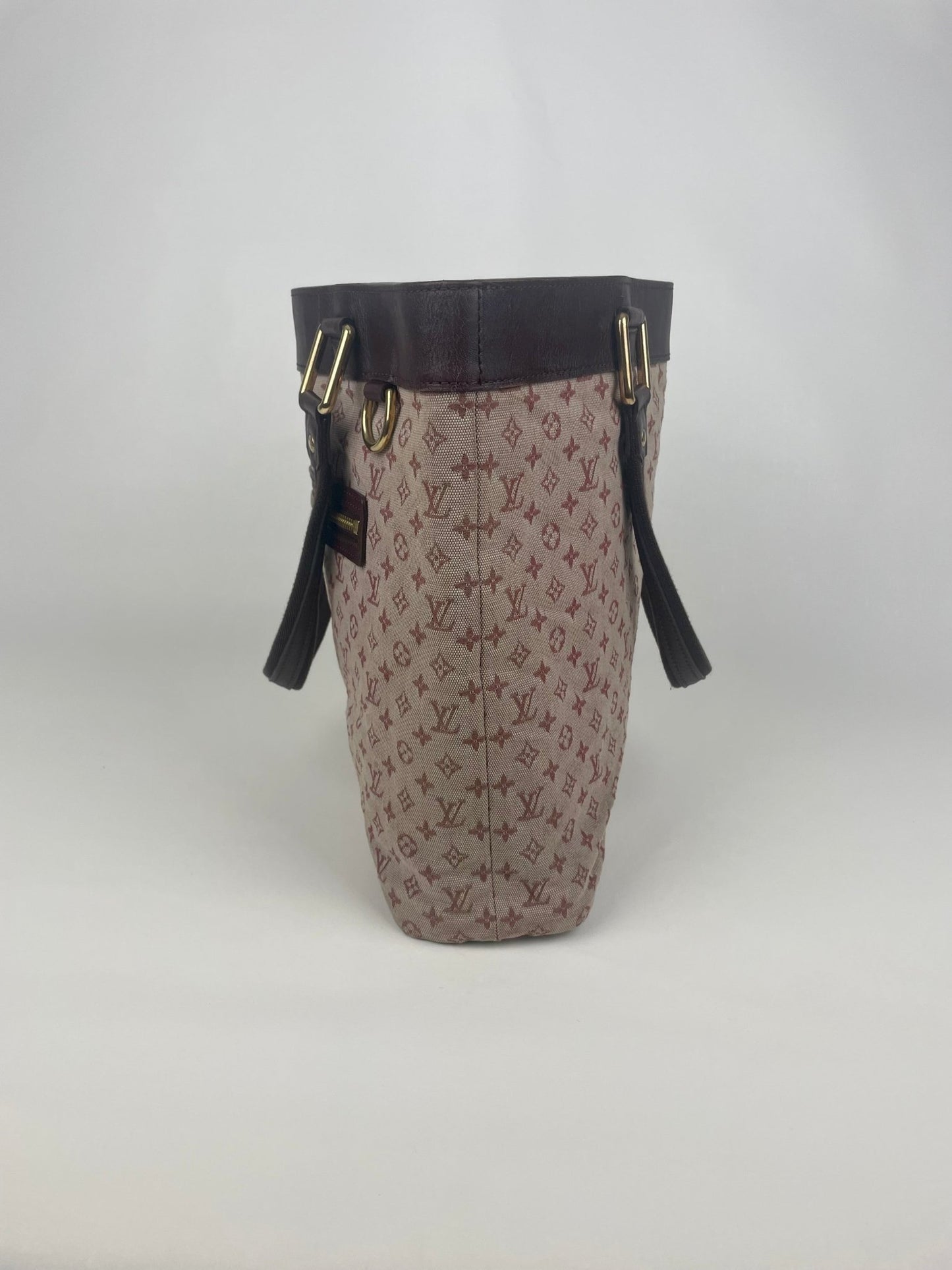The Vintage Bag Louis Vuitton Lucille