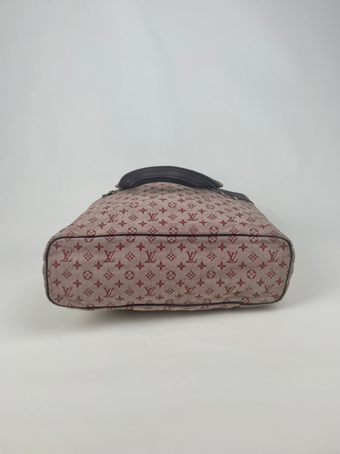 The Vintage Bag Louis Vuitton Lucille