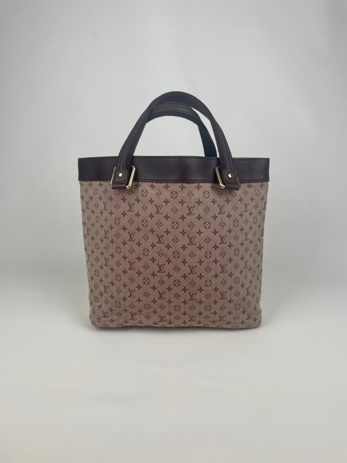 The Vintage Bag Louis Vuitton Lucille
