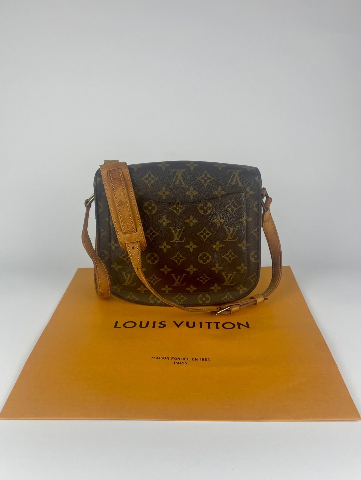The Vintage Bag Louis Vuitton Saint Cloud
