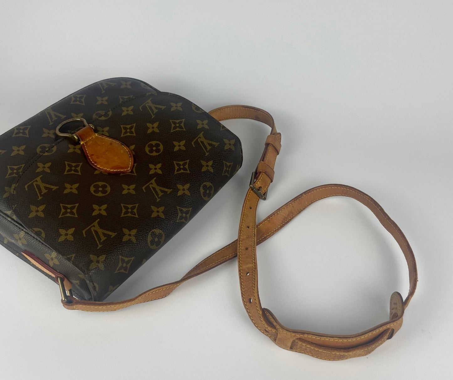 The Vintage Bag Louis Vuitton Saint Cloud