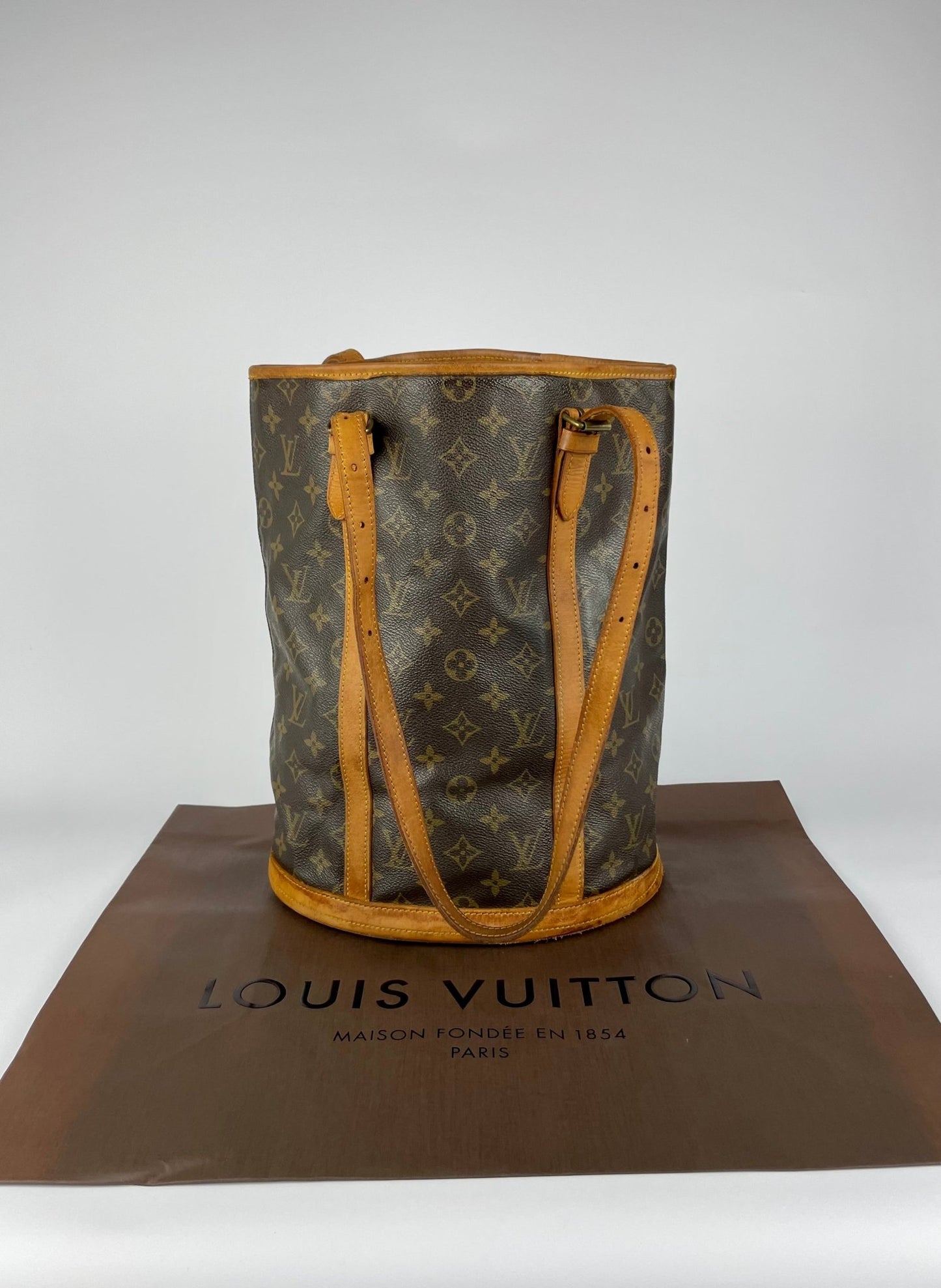 The Vintage Bag Louis Vuitton Bucket