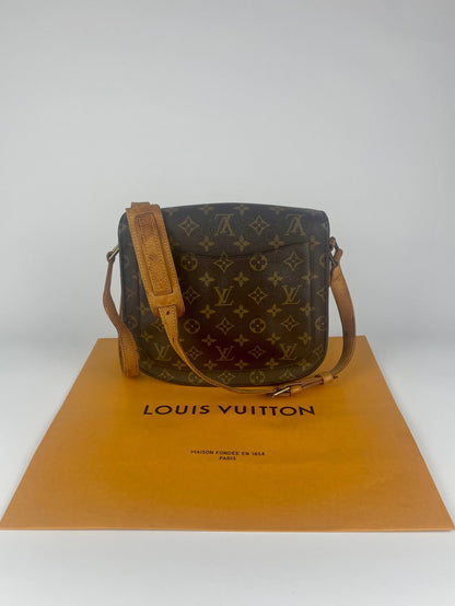 The Vintage Bag Louis Vuitton Saint Cloud
