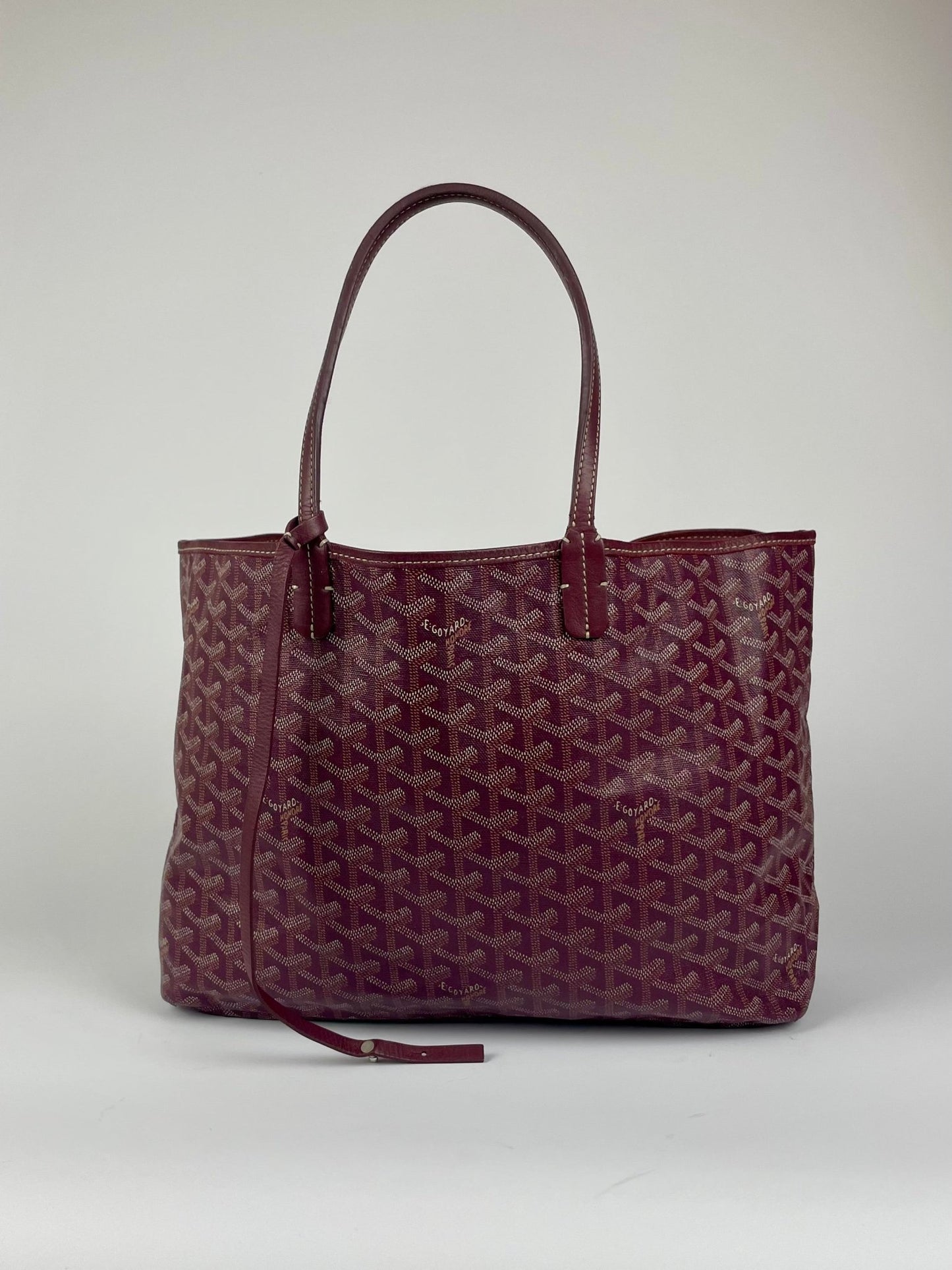 The Vintage Bag Goyard Saint Louis PM