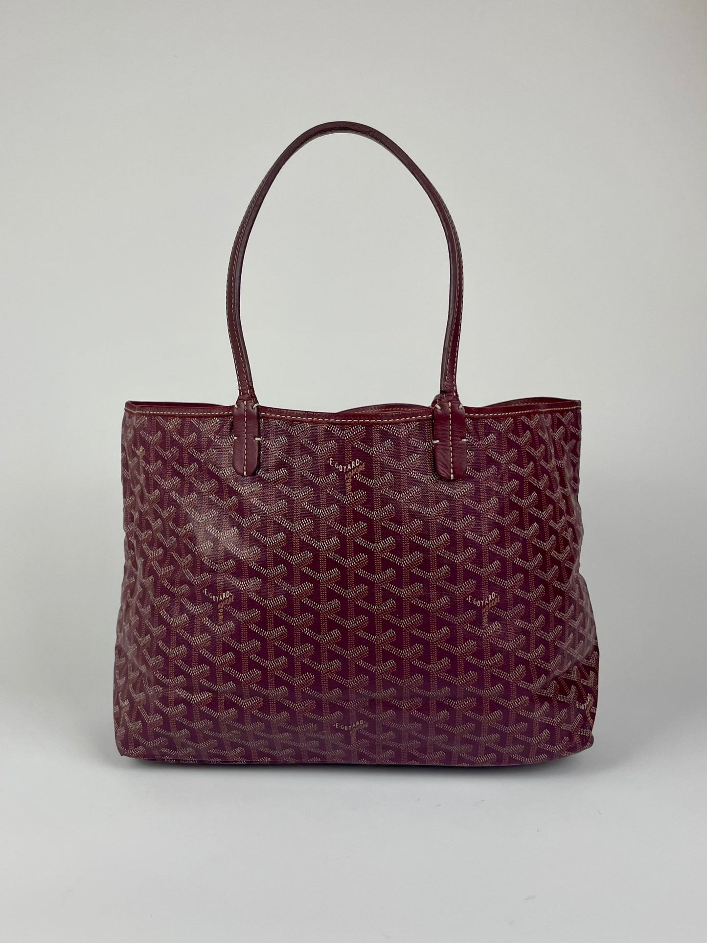 The Vintage Bag Goyard Saint Louis PM