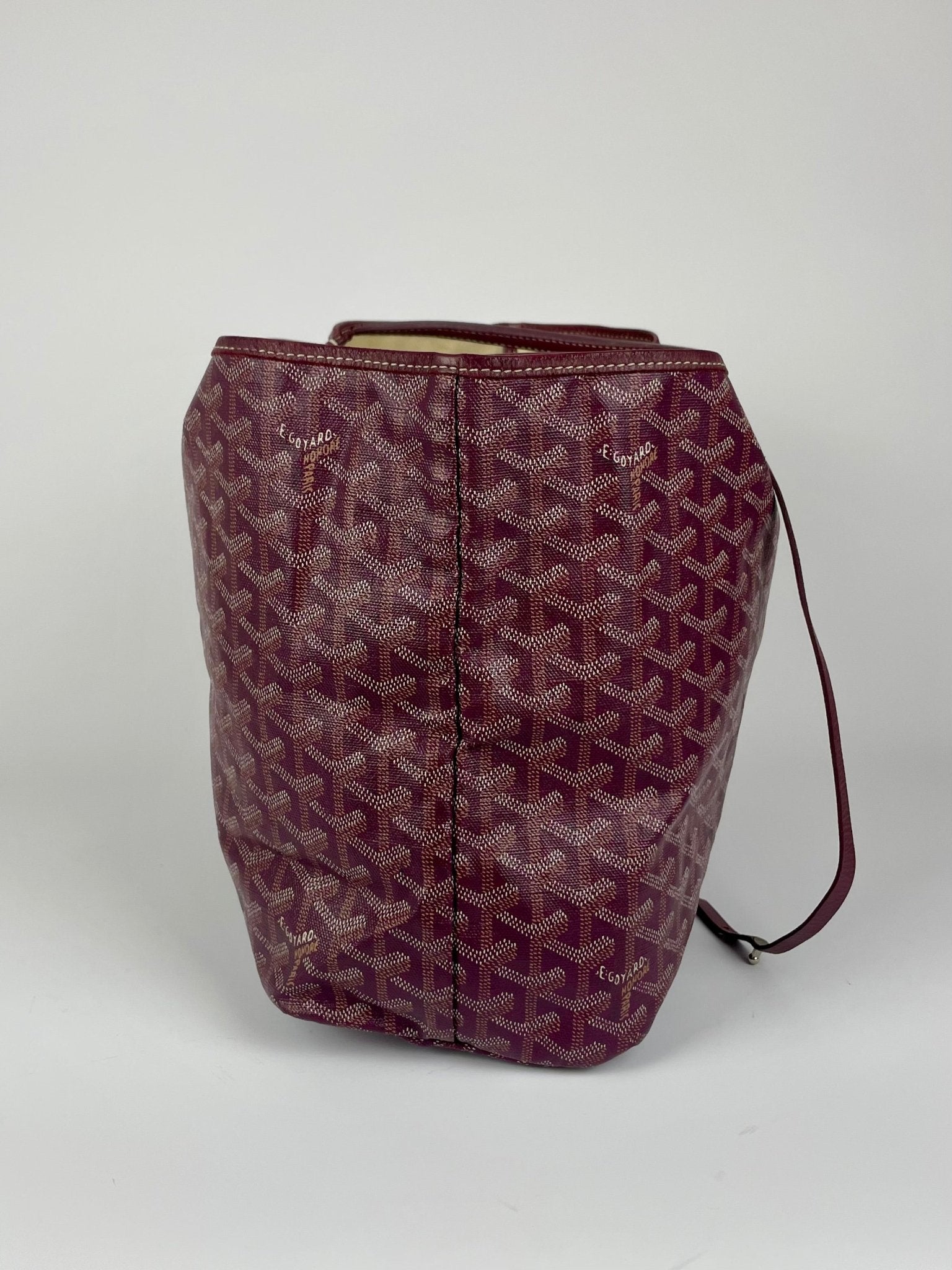 The Vintage Bag Goyard Saint Louis PM