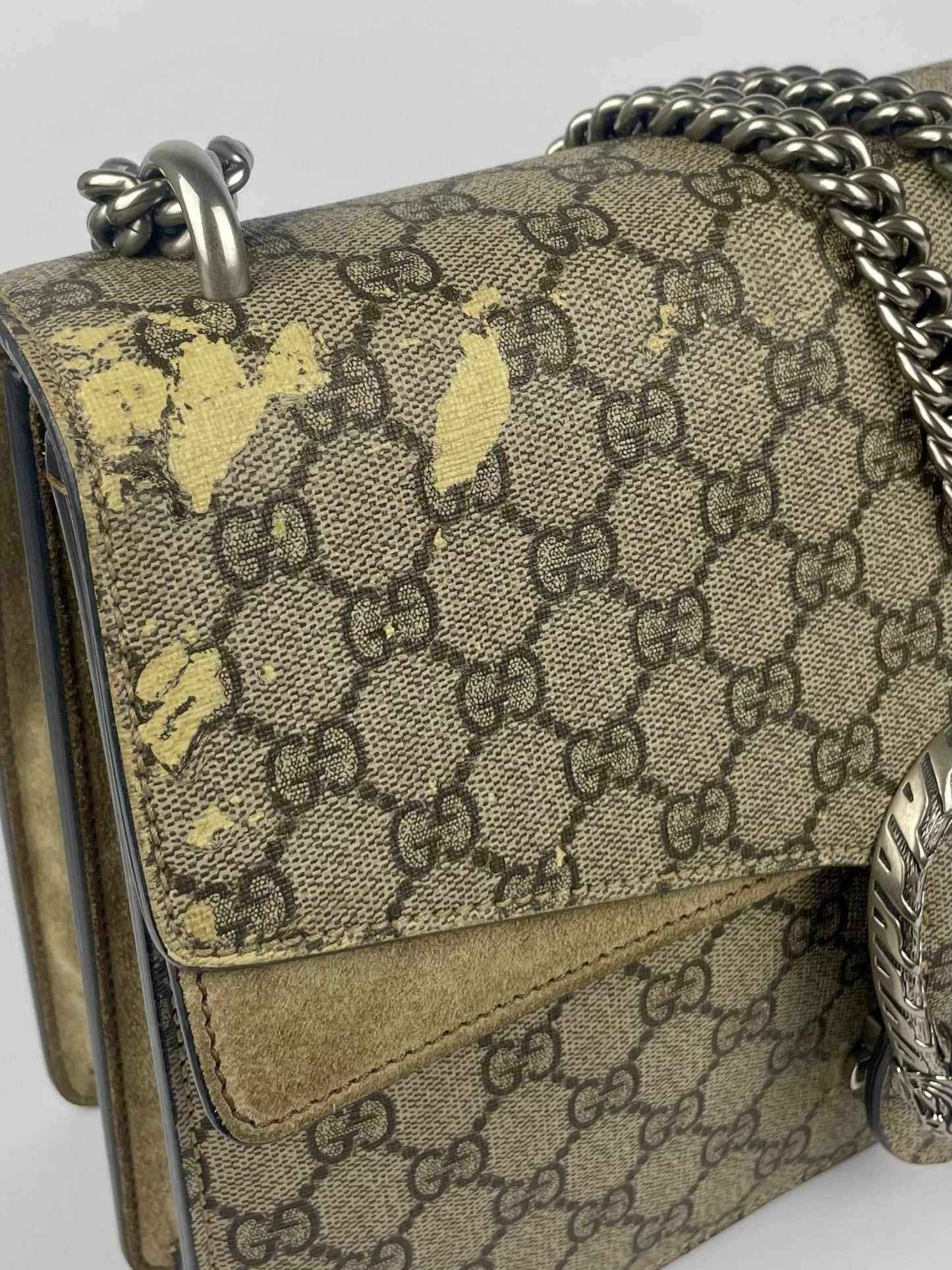 The Vintage Bag Gucci Dionysus