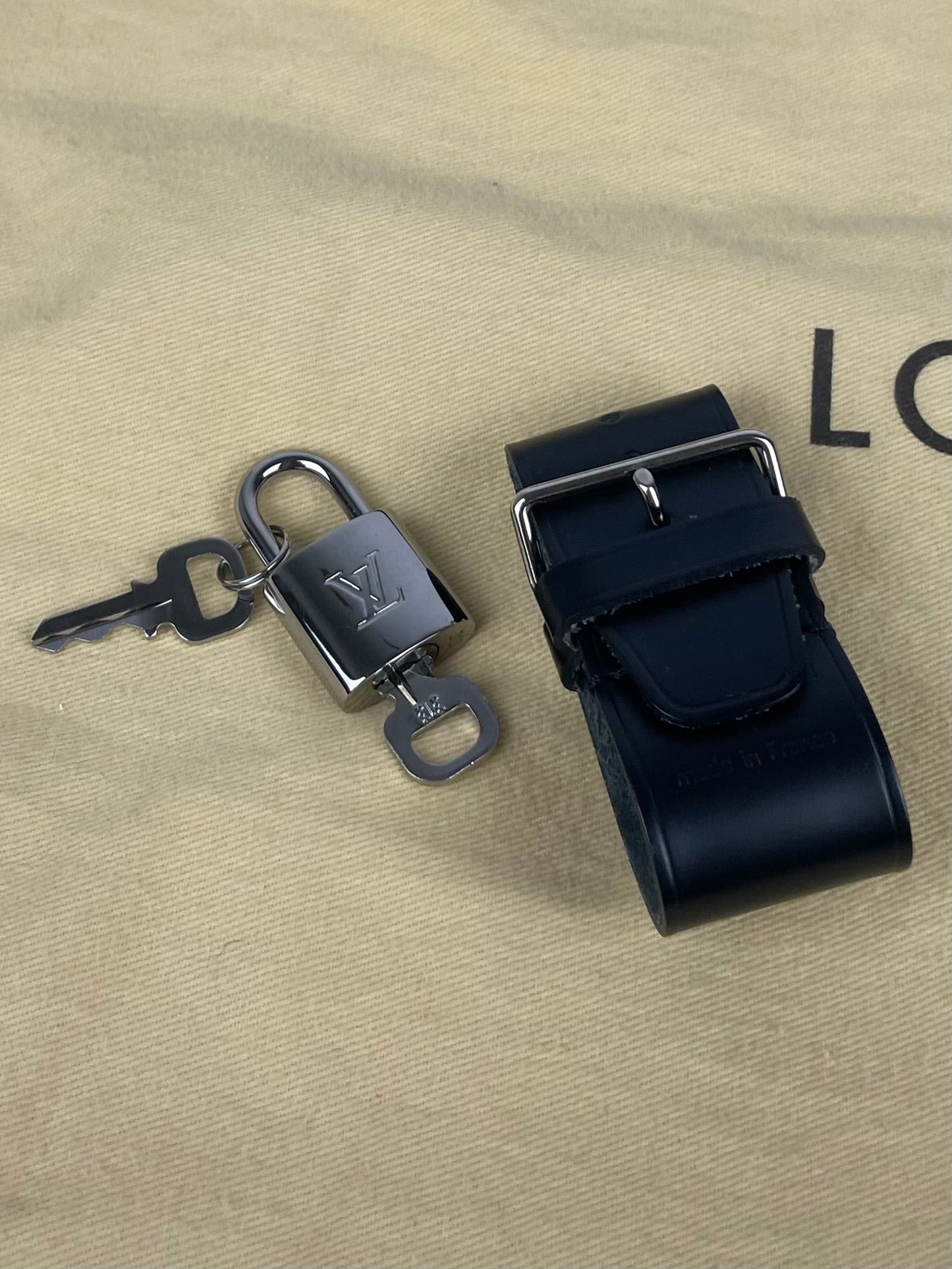 The Vintage Bag Louis Vuitton Damier Graphite Icare