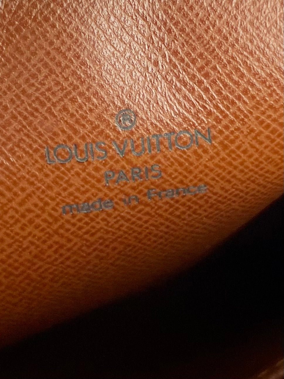 The Vintage Bag Louis Vuitton Danube