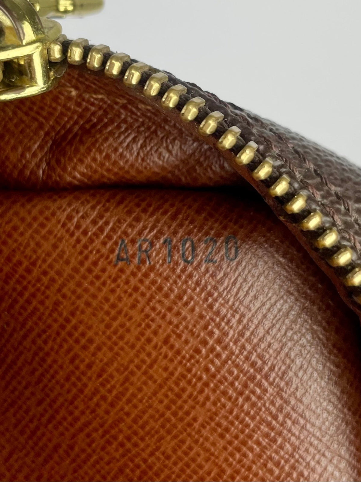 The Vintage Bag Louis Vuitton Danube