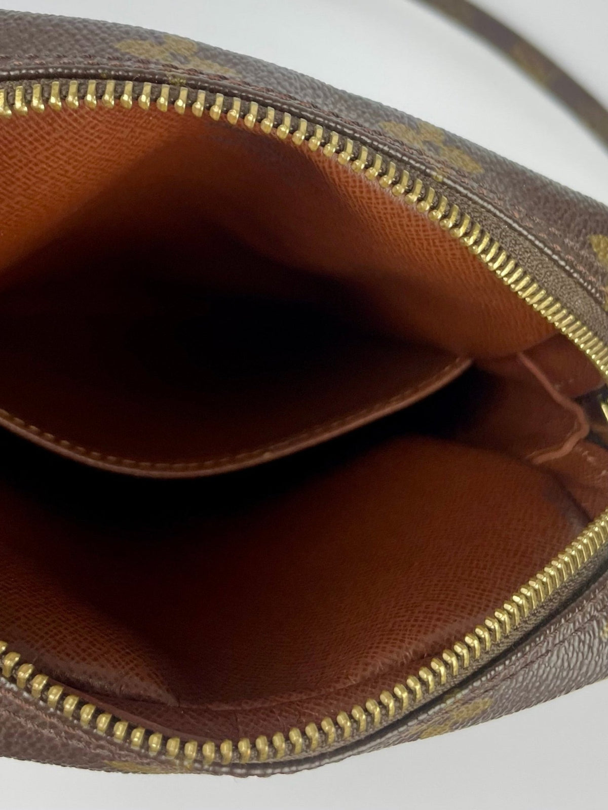 The Vintage Bag Louis Vuitton Danube