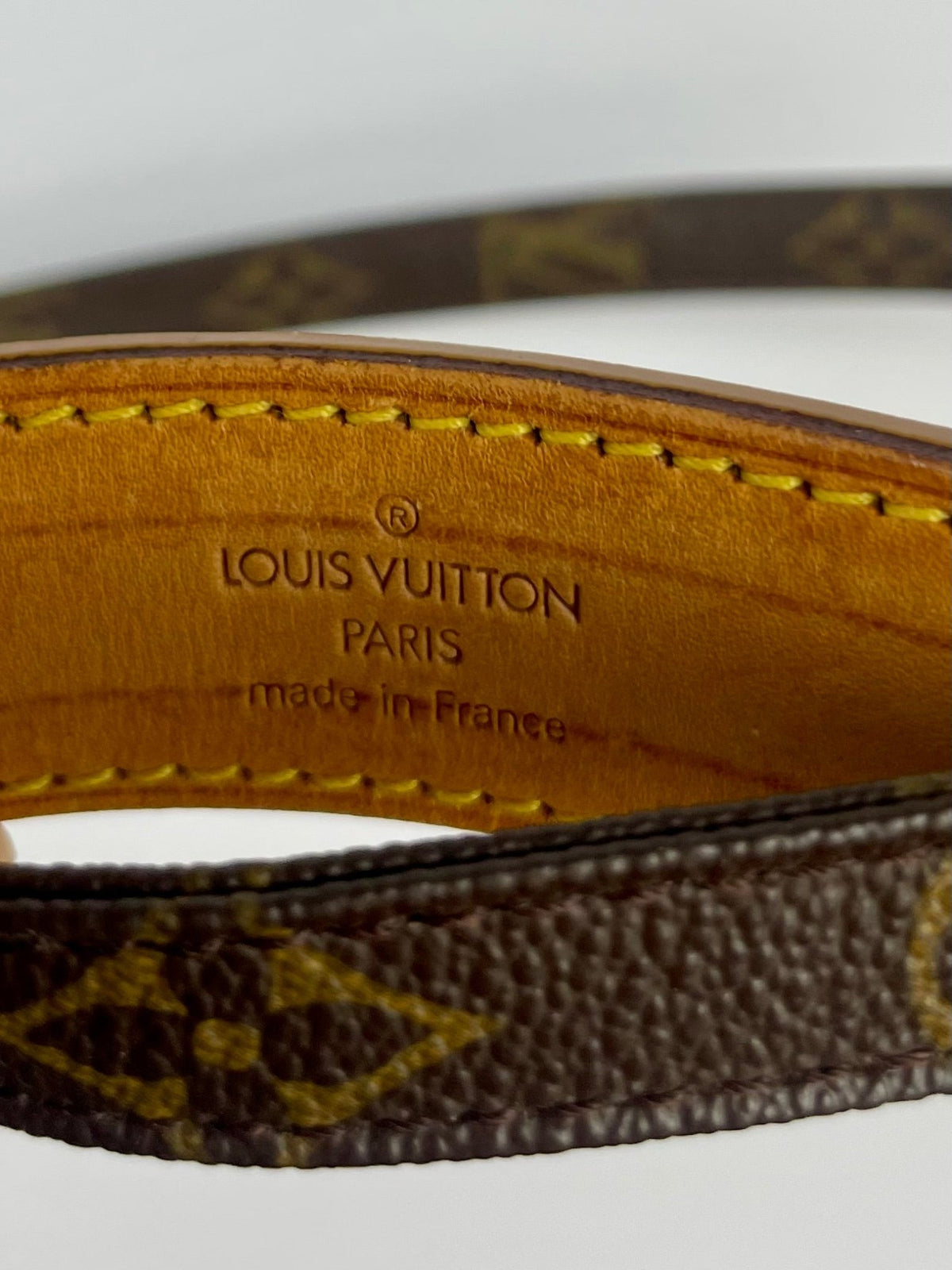 The Vintage Bag Louis Vuitton Danube