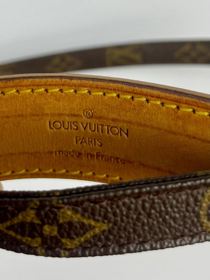 The Vintage Bag Louis Vuitton Danube