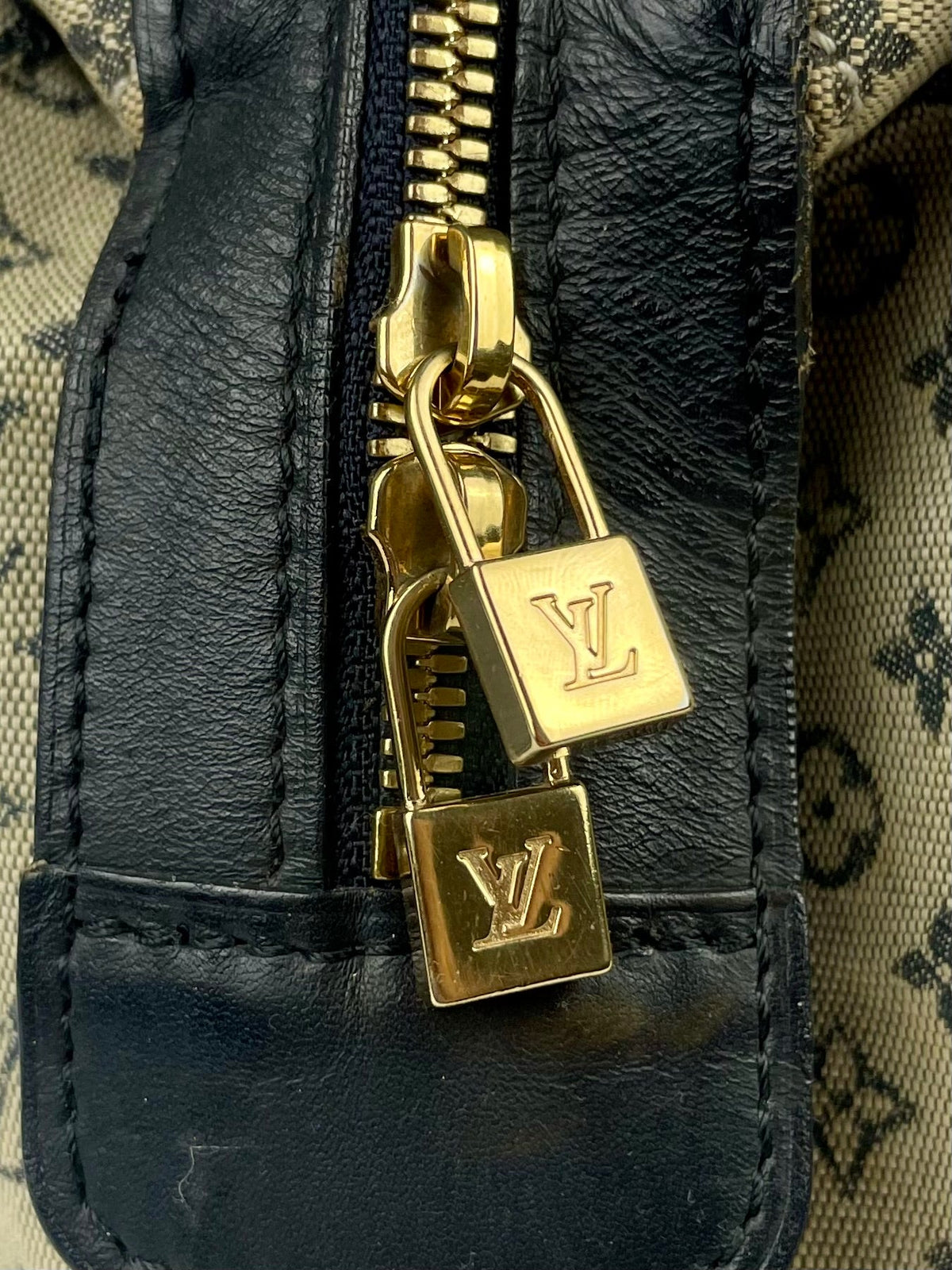 The Vintage Bag Louis Vuitton Josephine PM