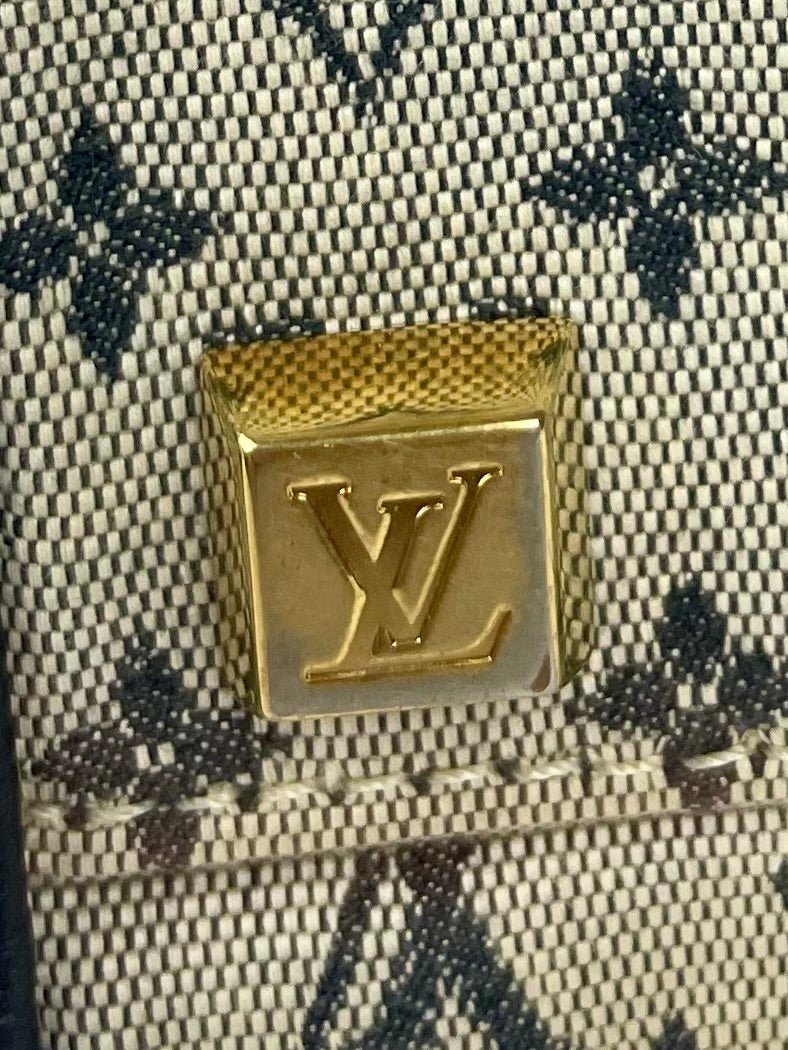 The Vintage Bag Louis Vuitton Josephine PM
