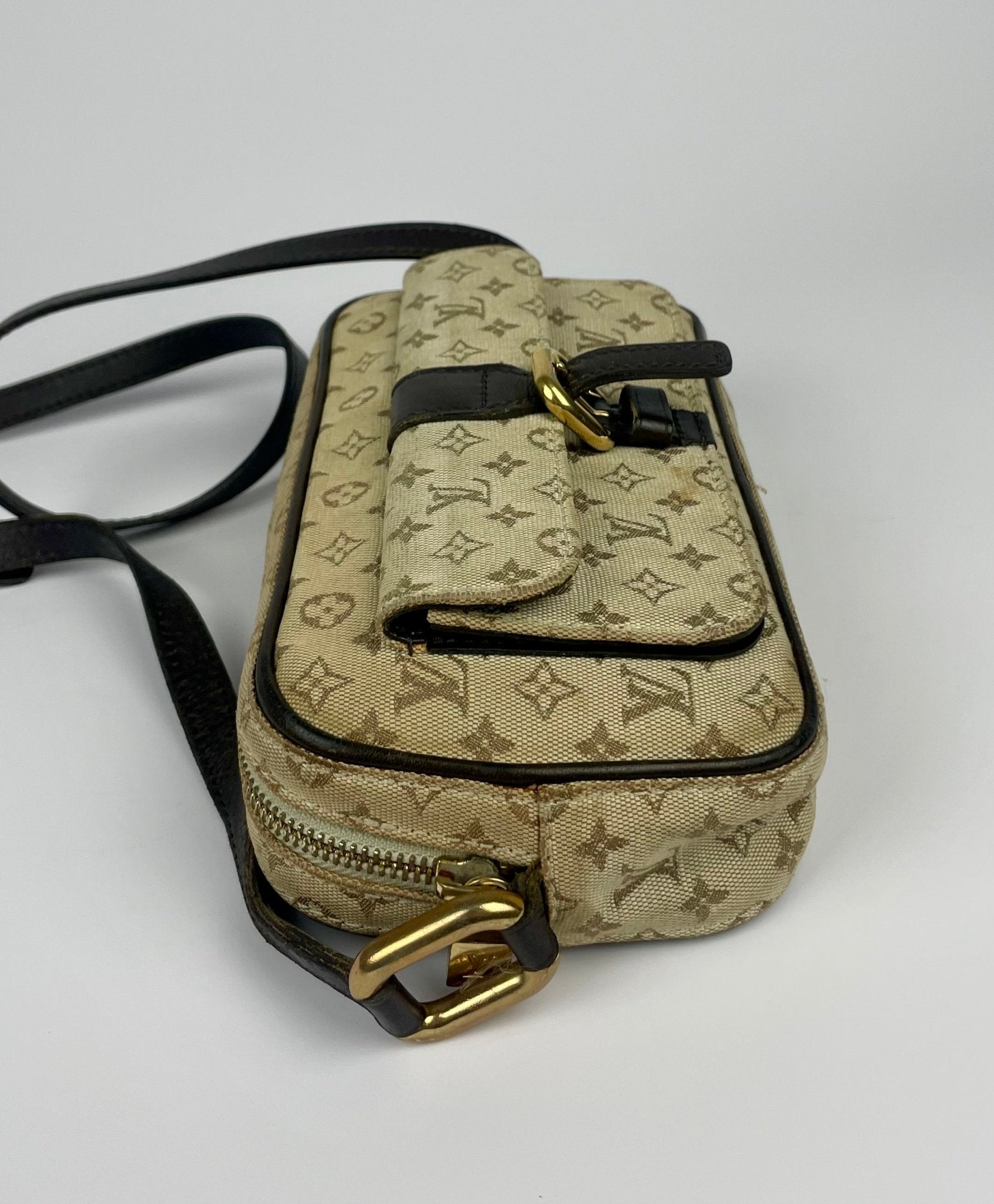 The Vintage Bag Louis Vuitton Mini Juliet
