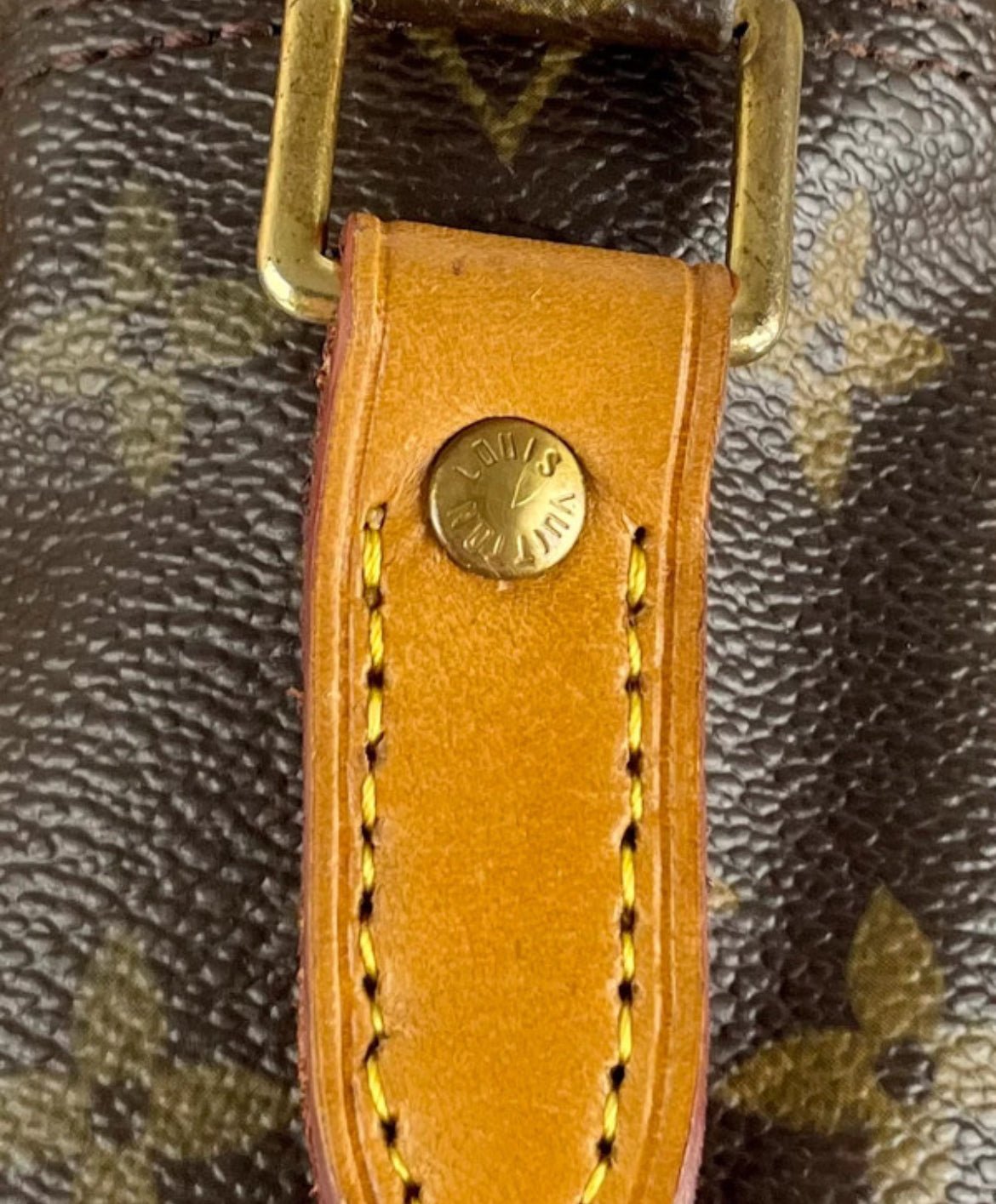 The Vintage Bag Louis Vuitton Nile