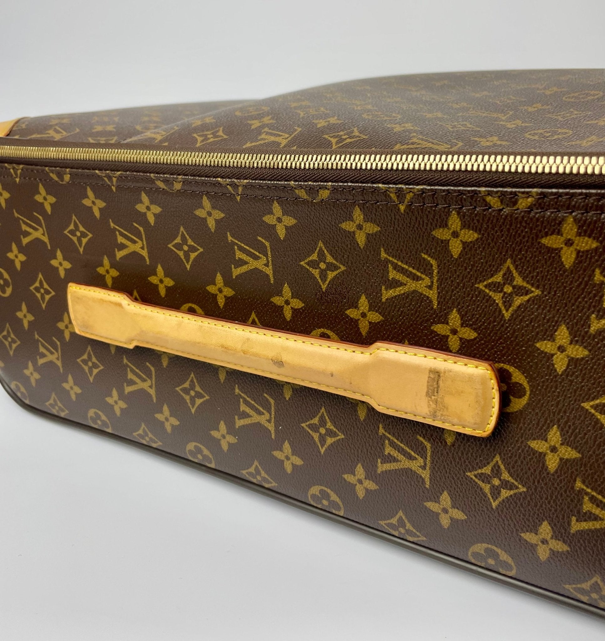 The Vintage Bag Louis Vuitton Pegase 55
