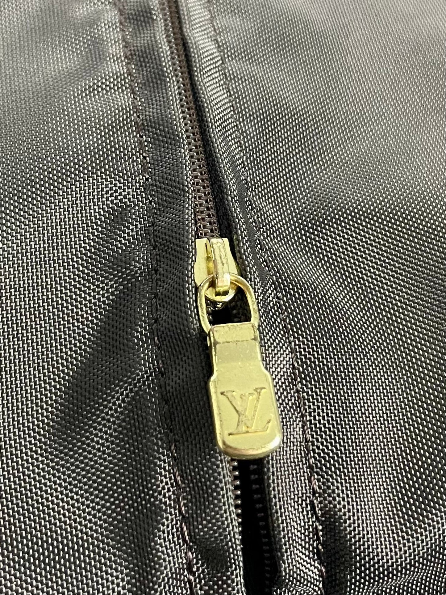 The Vintage Bag Louis Vuitton Pegase 55