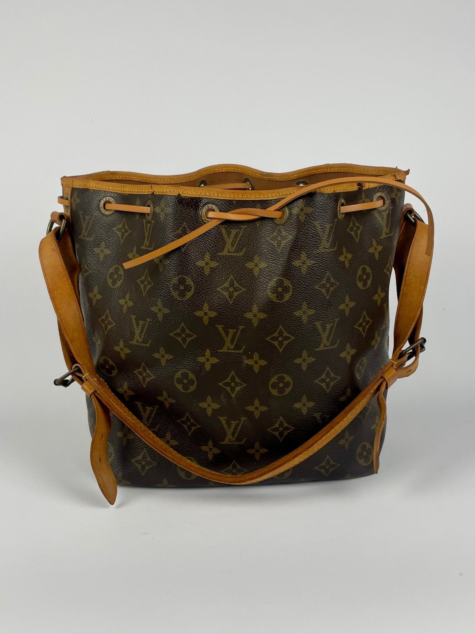 The Vintage Bag Louis Vuitton Petit Noe
