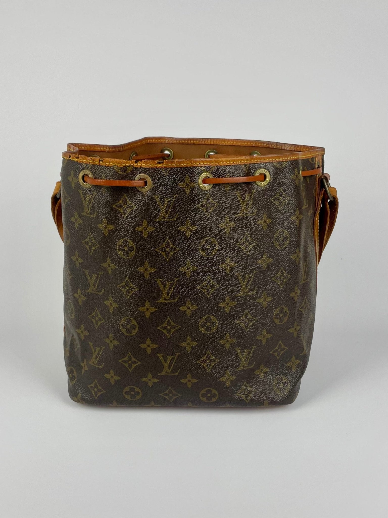 The Vintage Bag Louis Vuitton Petit Noe
