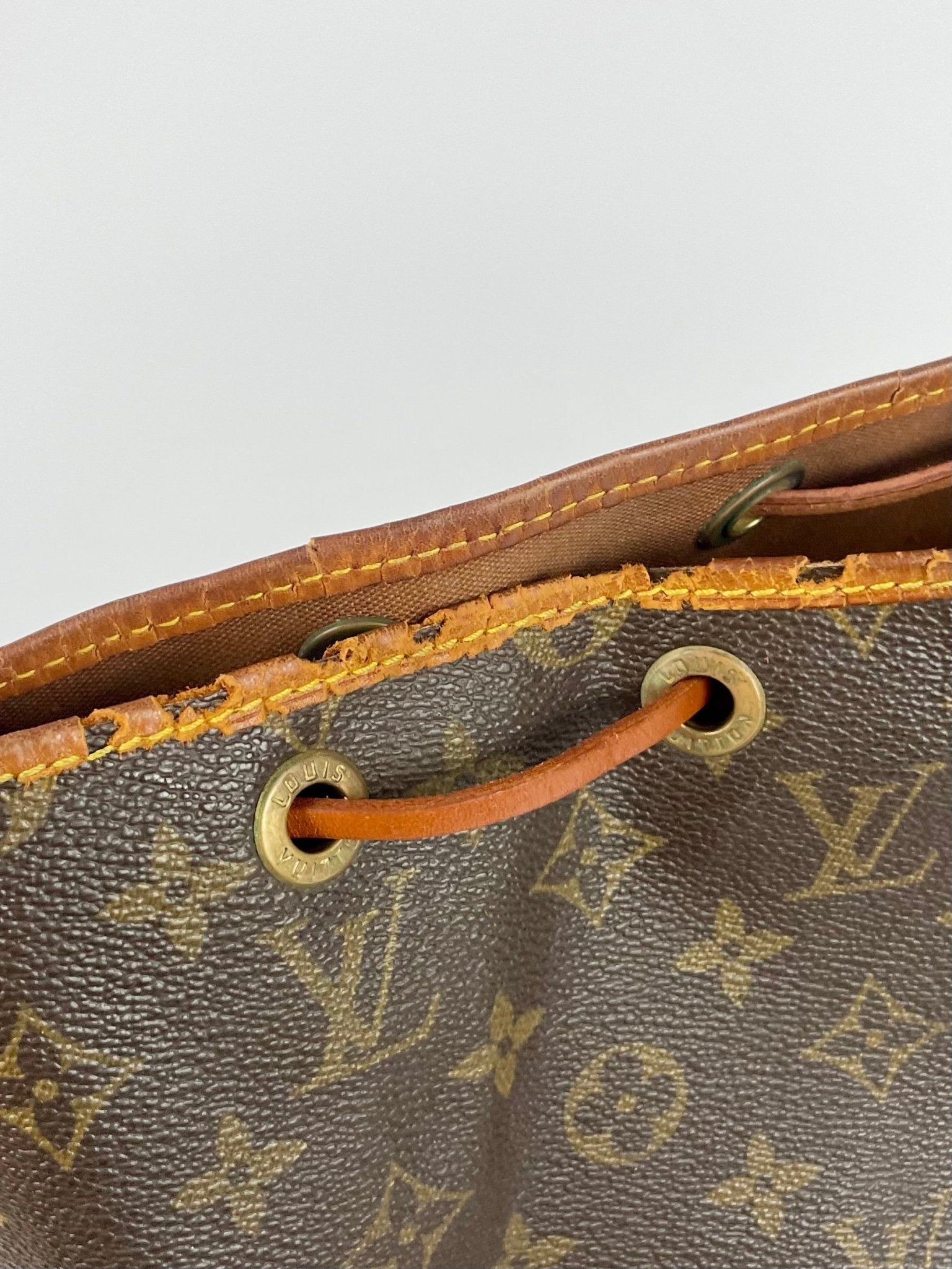 The Vintage Bag Louis Vuitton Petit Noe