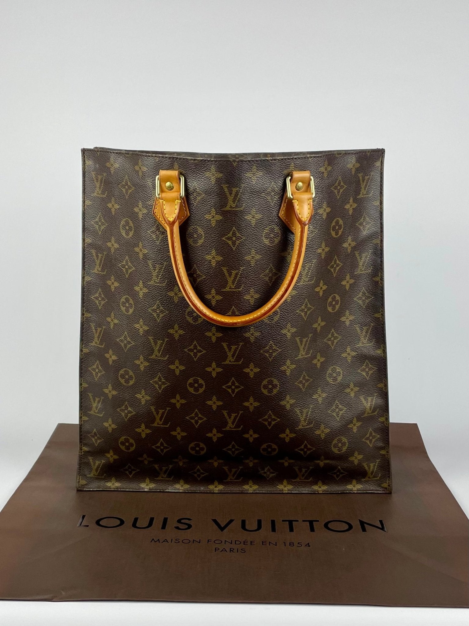 The Vintage Bag Louis Vuitton Sac Plat