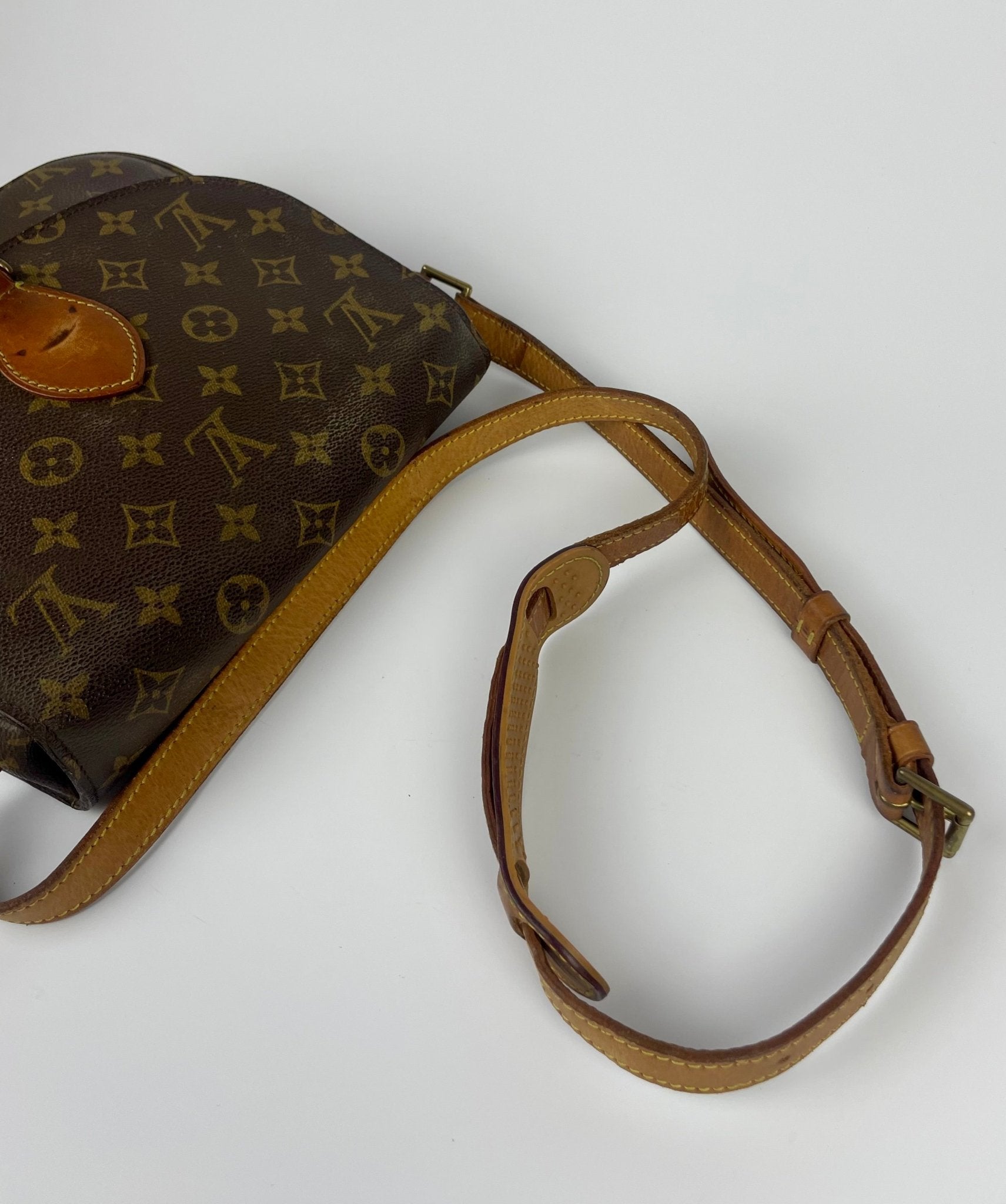 The Vintage Bag Louis Vuitton Saint Cloud GM