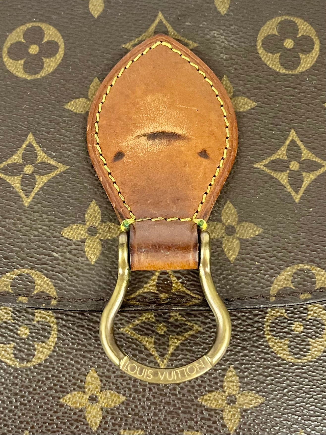 The Vintage Bag Louis Vuitton Saint Cloud GM