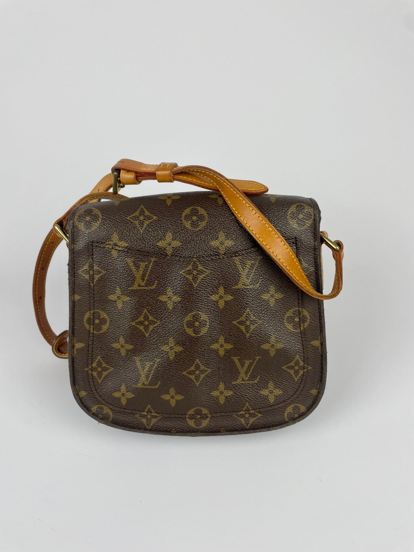The Vintage Bag Louis Vuitton Saint Cloud MM