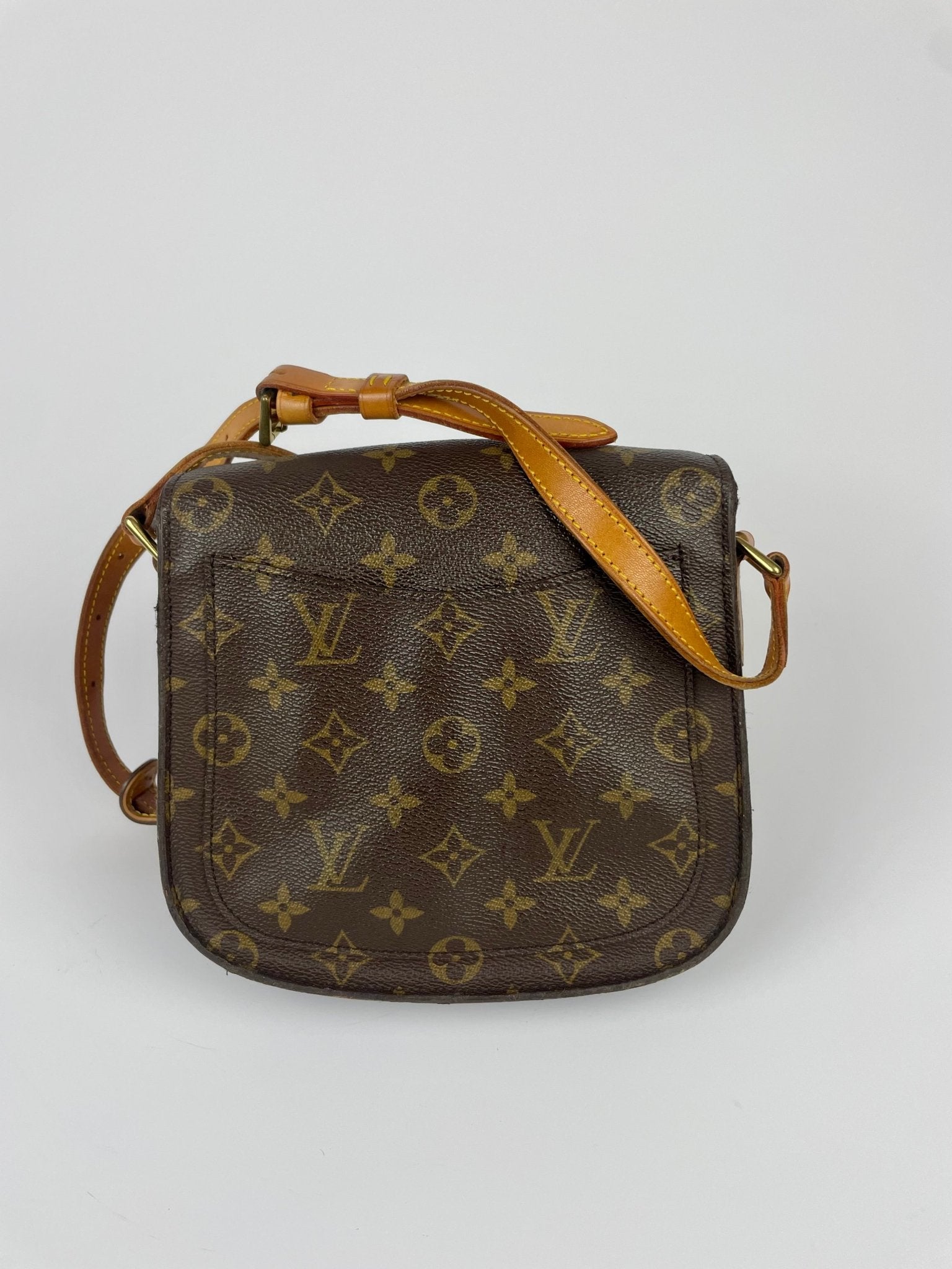 The Vintage Bag Louis Vuitton Saint Cloud MM
