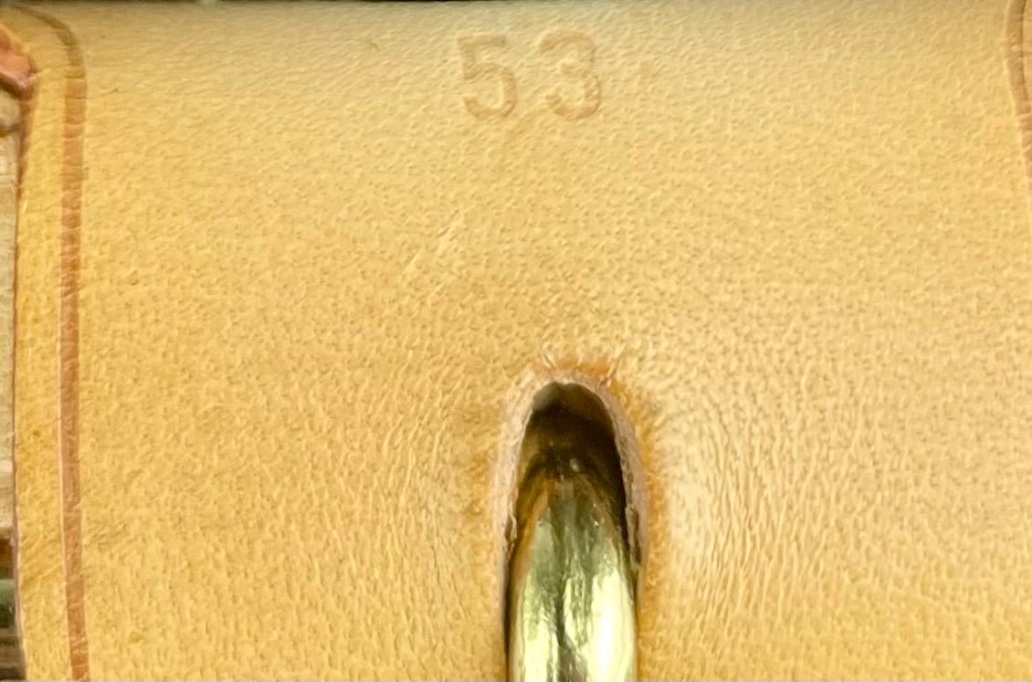 The Vintage Bag Louis Vuitton Satelitte 53