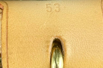 The Vintage Bag Louis Vuitton Satelitte 53