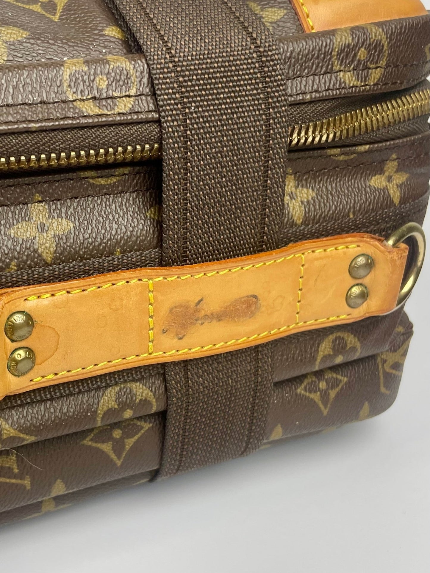 The Vintage Bag Louis Vuitton Satelitte 53