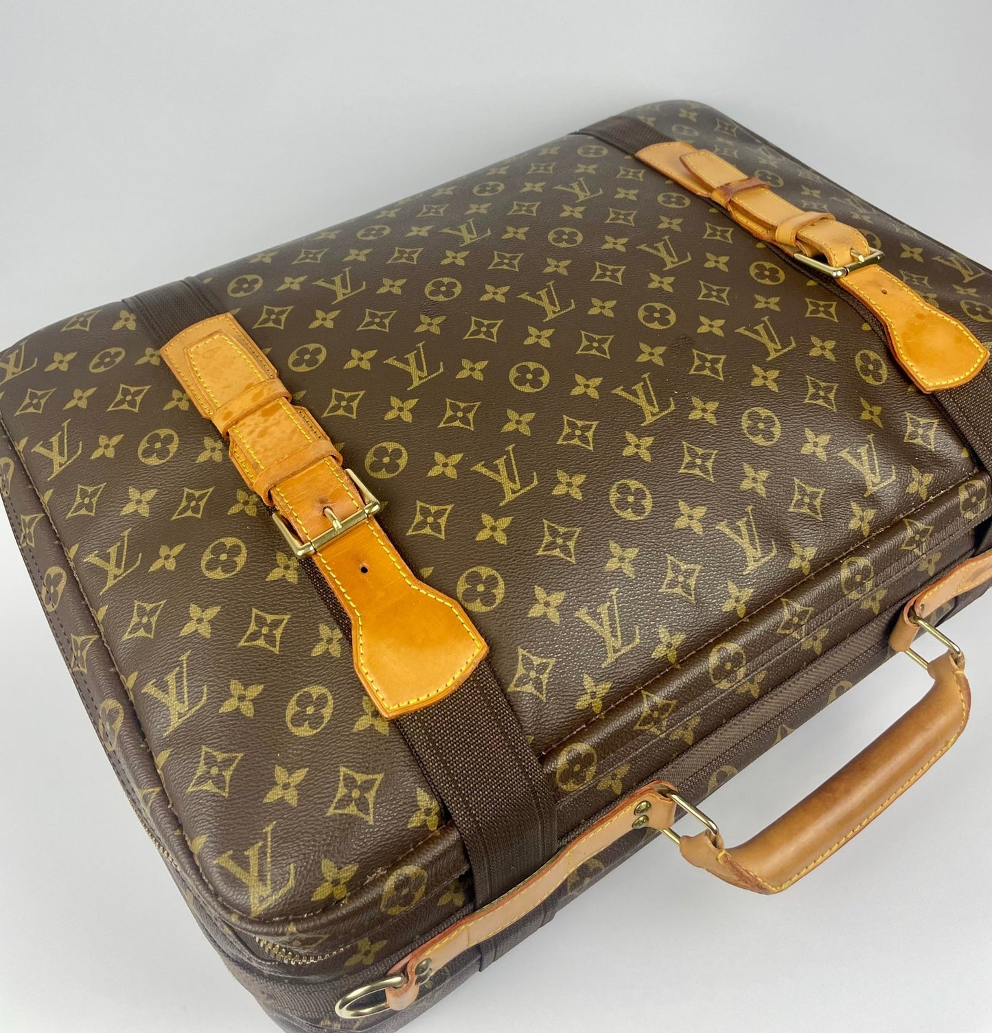 The Vintage Bag Louis Vuitton Satelitte 53