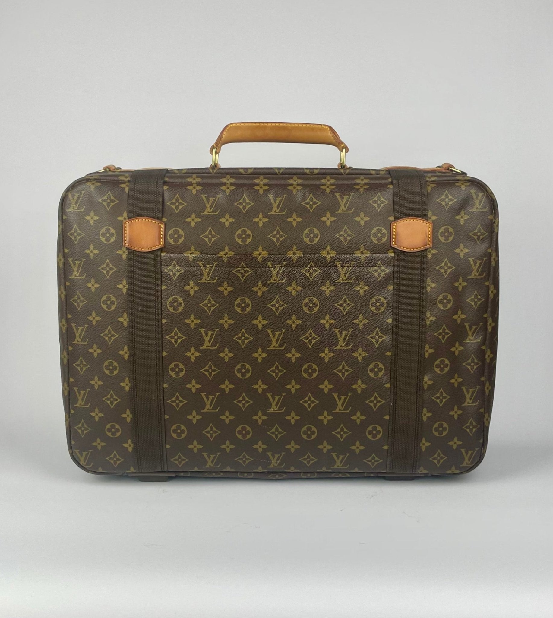 The Vintage Bag Louis Vuitton Satelitte 53