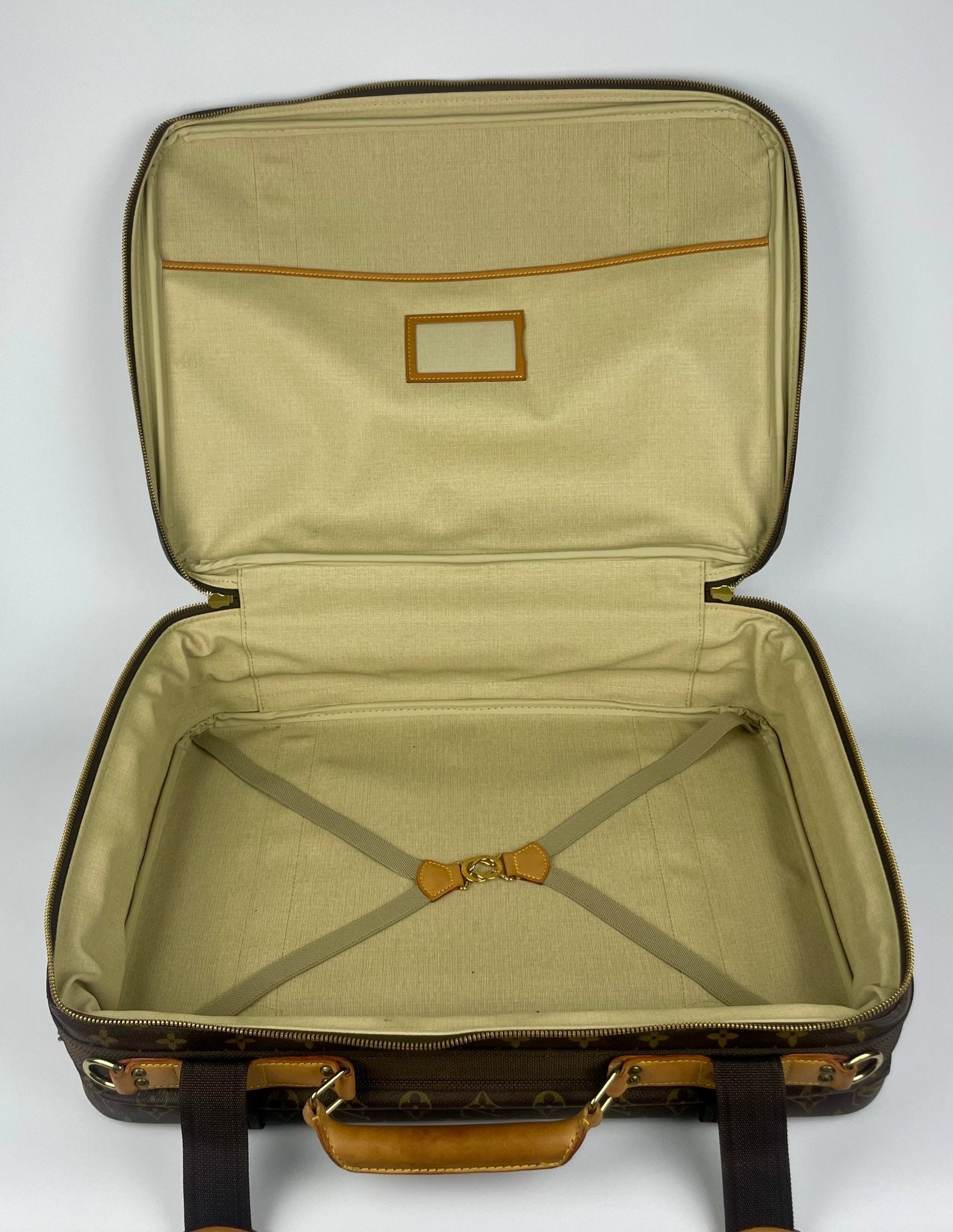 The Vintage Bag Louis Vuitton Satelitte 53